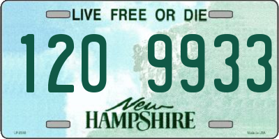 NH license plate 1209933