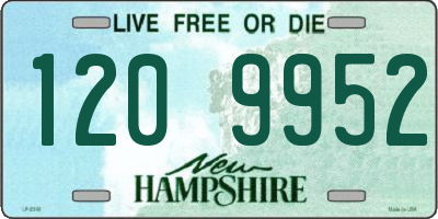 NH license plate 1209952