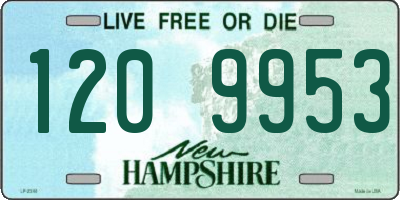 NH license plate 1209953