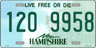 NH license plate 1209958