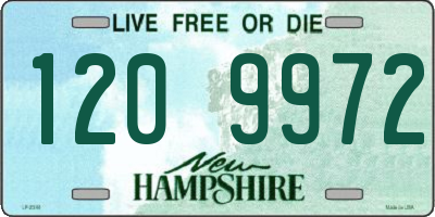 NH license plate 1209972