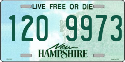 NH license plate 1209973
