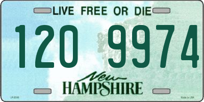 NH license plate 1209974