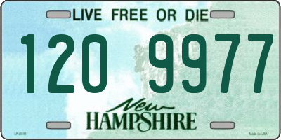 NH license plate 1209977