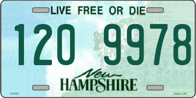 NH license plate 1209978