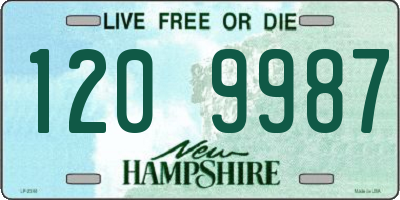 NH license plate 1209987