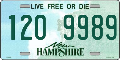 NH license plate 1209989