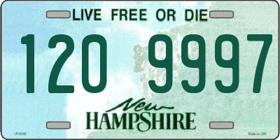 NH license plate 1209997