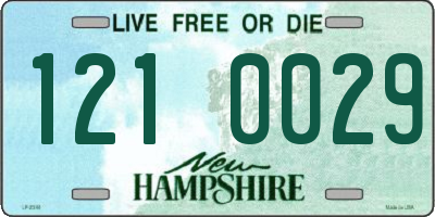 NH license plate 1210029