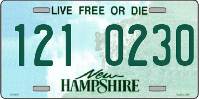 NH license plate 1210230