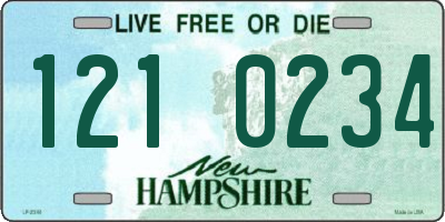 NH license plate 1210234