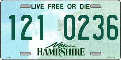 NH license plate 1210236