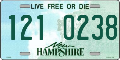 NH license plate 1210238