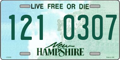 NH license plate 1210307