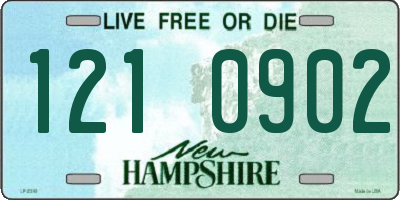 NH license plate 1210902
