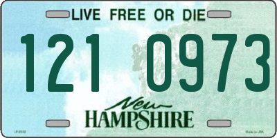 NH license plate 1210973