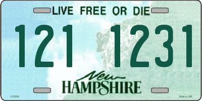NH license plate 1211231