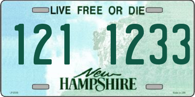 NH license plate 1211233