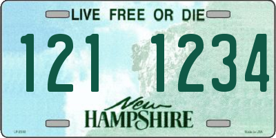 NH license plate 1211234