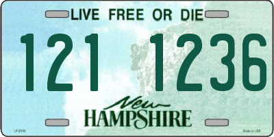 NH license plate 1211236