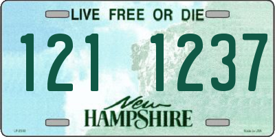 NH license plate 1211237