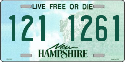 NH license plate 1211261