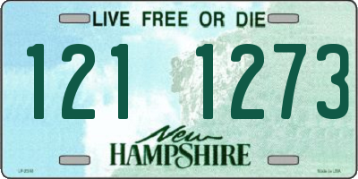 NH license plate 1211273