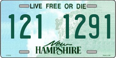 NH license plate 1211291