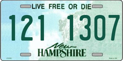 NH license plate 1211307