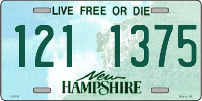 NH license plate 1211375