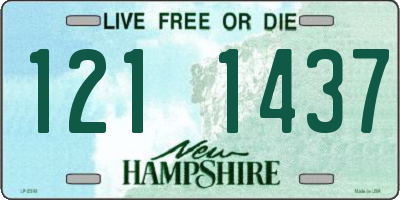 NH license plate 1211437