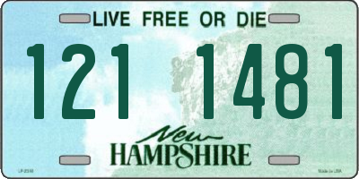 NH license plate 1211481