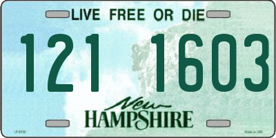 NH license plate 1211603