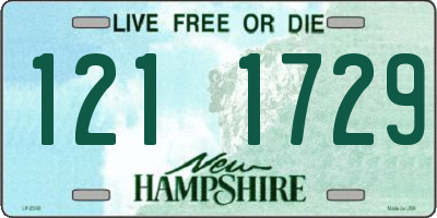 NH license plate 1211729