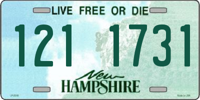 NH license plate 1211731