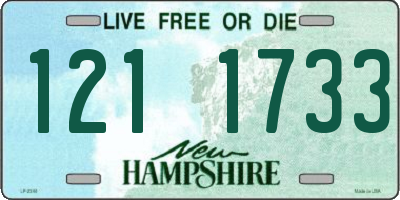 NH license plate 1211733