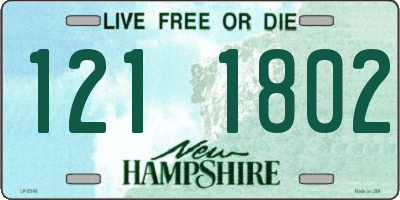 NH license plate 1211802