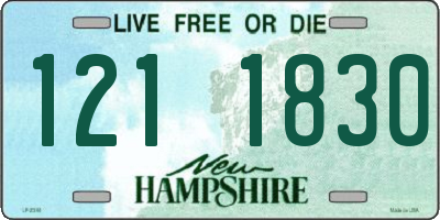 NH license plate 1211830