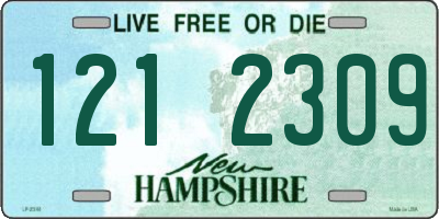 NH license plate 1212309
