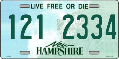 NH license plate 1212334