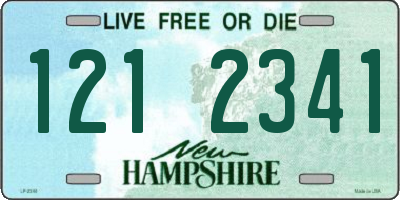 NH license plate 1212341