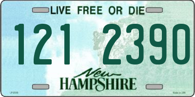 NH license plate 1212390