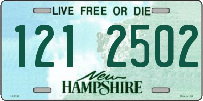 NH license plate 1212502
