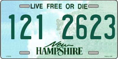 NH license plate 1212623