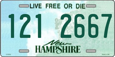 NH license plate 1212667