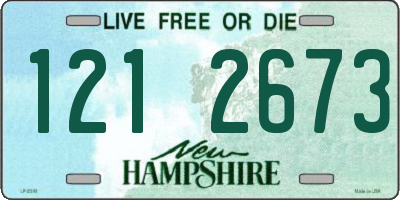 NH license plate 1212673