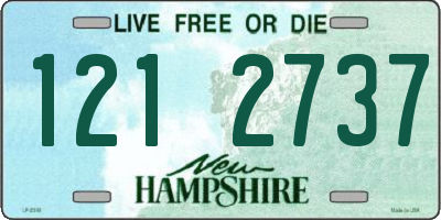 NH license plate 1212737