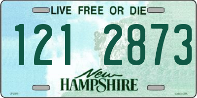 NH license plate 1212873