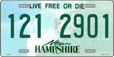 NH license plate 1212901
