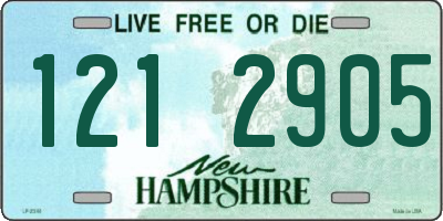 NH license plate 1212905